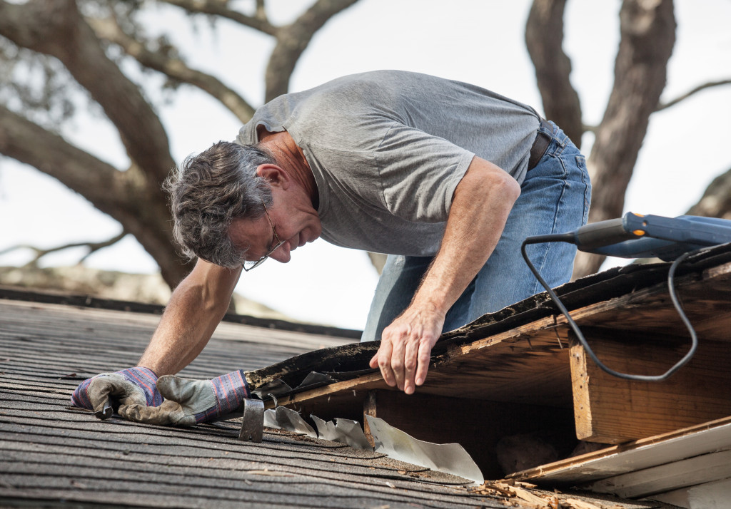 man on the roof for inspection