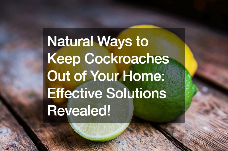 Natural Ways to Keep Cockroaches Out of Your Home Effective Solutions Revealed!